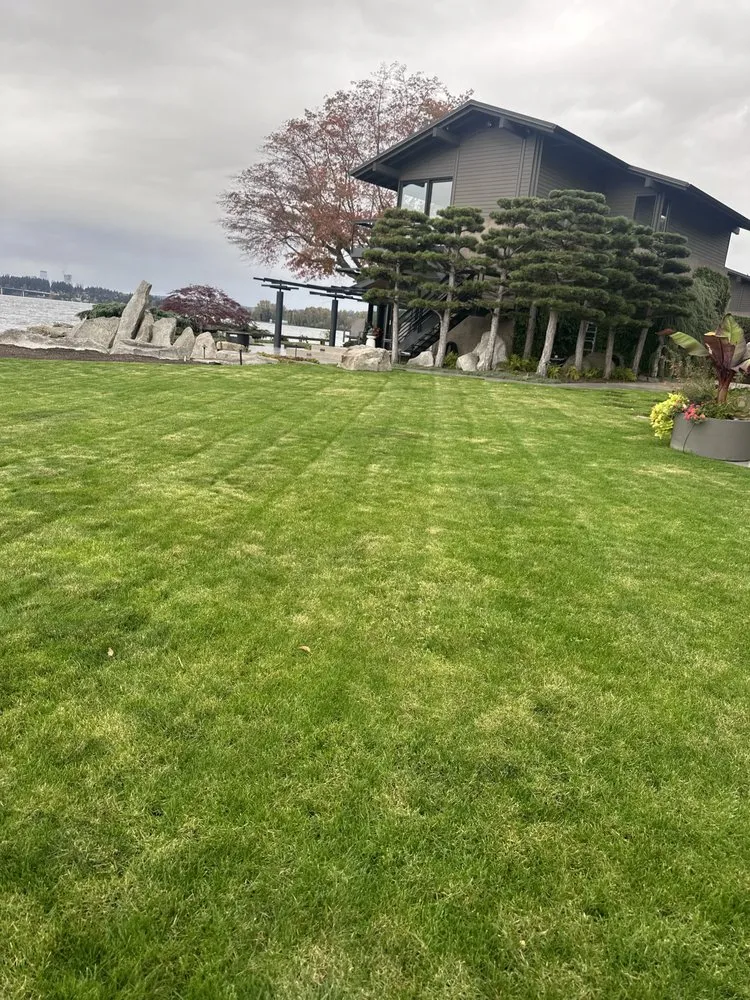 Top-rated yard maintenance with custom design in Maple Valley, WA by The Paradise Landscape