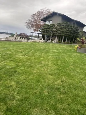 The Paradise Landscape