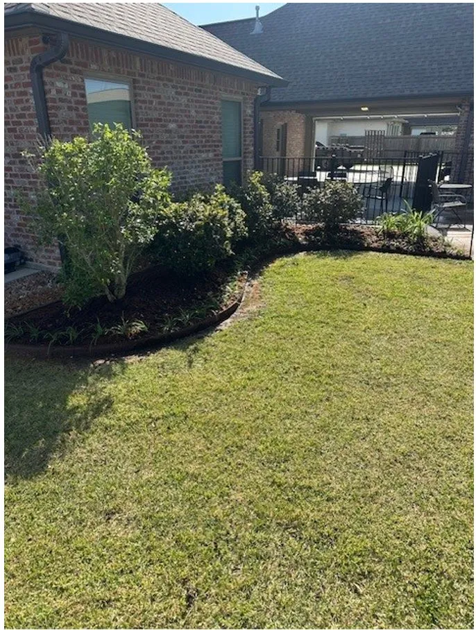 Expert yard cleanup service in Prairieville, LA by The Parish Group