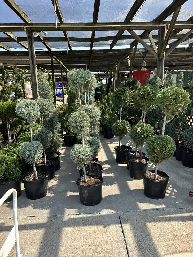 Custom landscape design in Eufaula, OK by The Patch