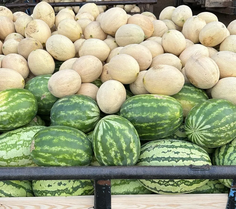 Top-rated lawn care service in Eufaula, OK by The Patch