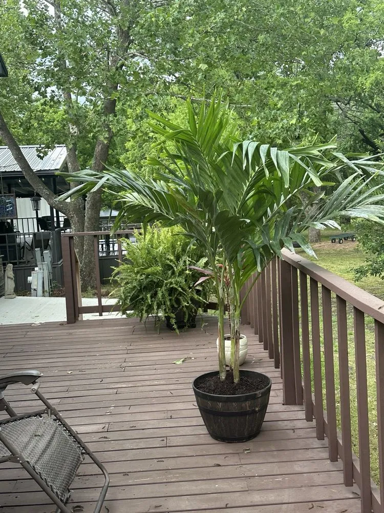 Reliable yard maintenance near you in Eufaula, OK by The Patch