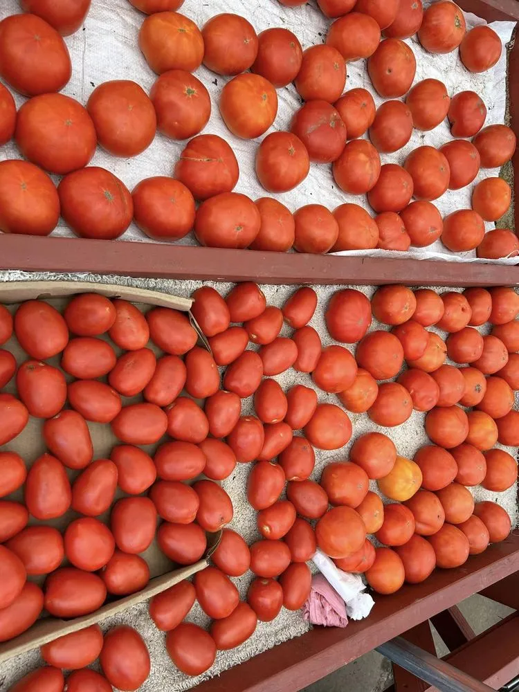 Professional residential landscaping in Eufaula, OK by The Patch