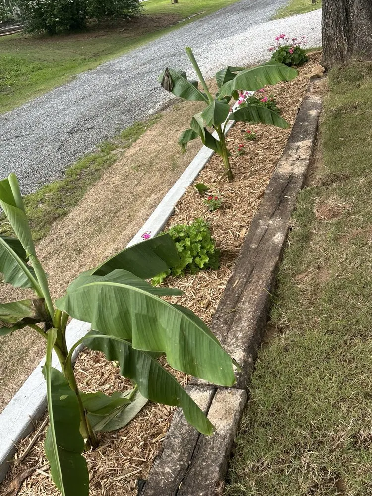 Professional lawn mowing service in Eufaula, OK by The Patch