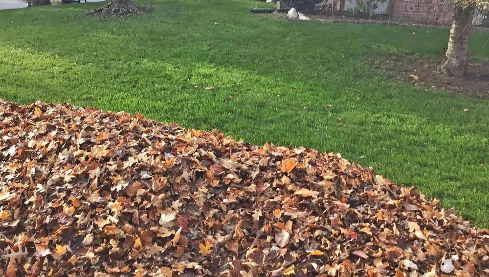 Custom residential landscaping in Eufaula, OK by The Patch