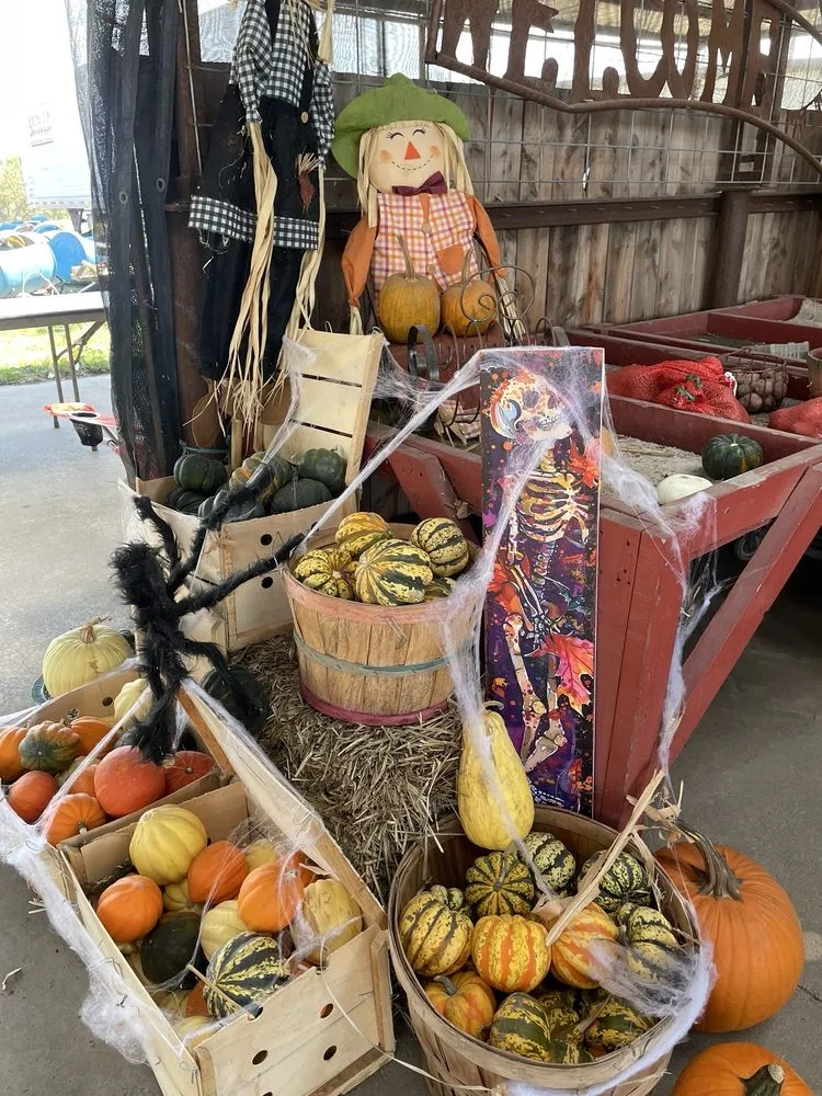 Affordable yard cleanup service for residential properties across Eufaula, OK - The Patch