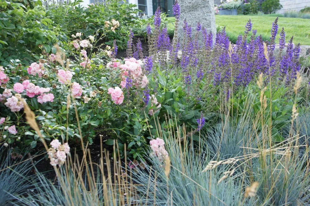 Custom lawn care service for homes in Beverly, MA by The Patio Company