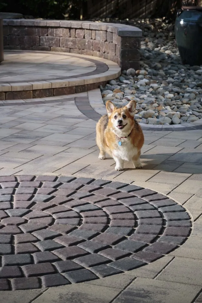 Trusted landscaping services near you in Fairfield, CA by The Paver Company