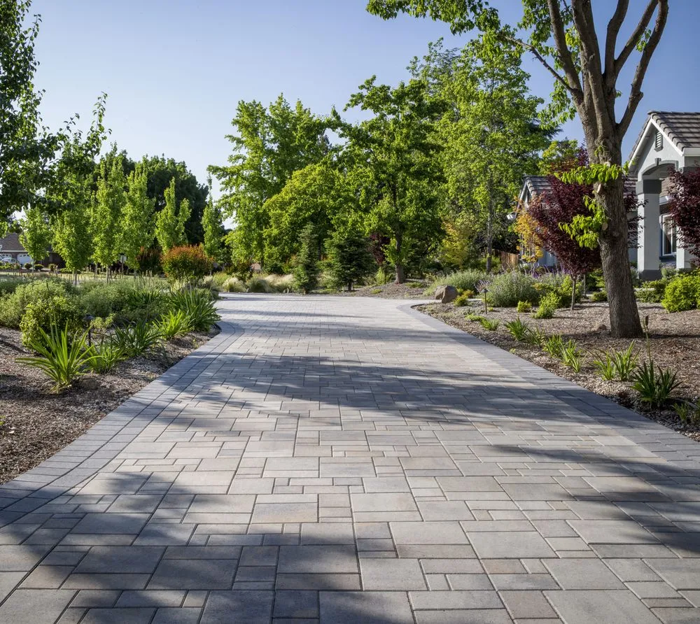 Affordable lawn care service in Modesto, CA by The Paver Company