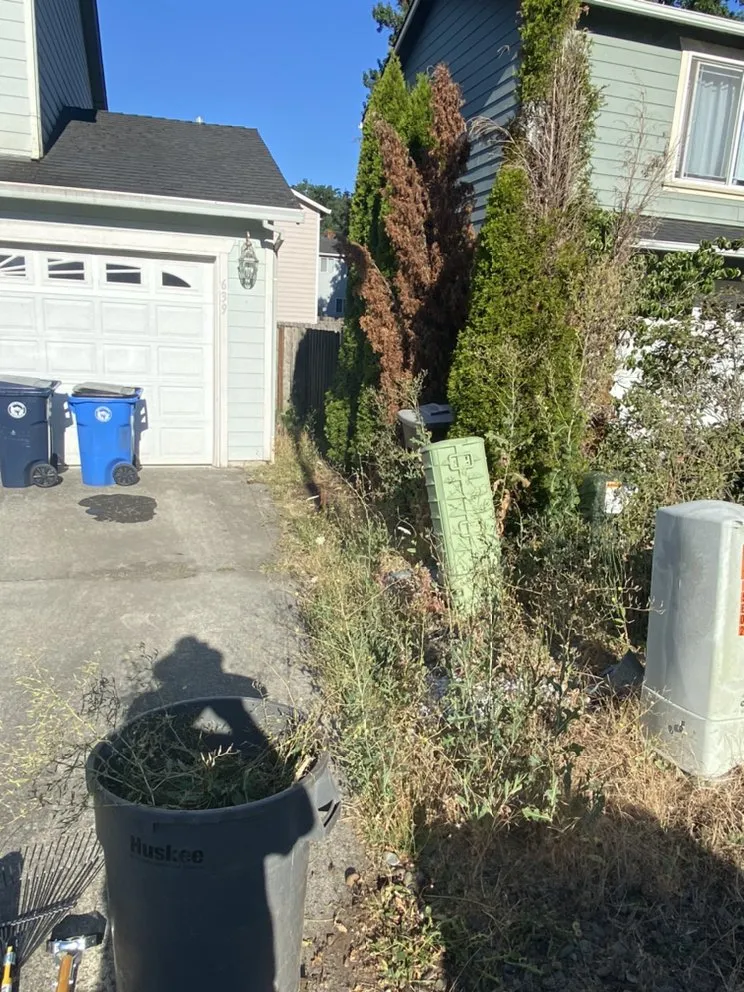 Reliable yard cleanup service for homes in Vancouver, WA by The Paver Guy