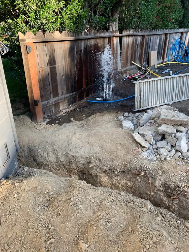 Reliable landscaping services for year-round maintenance in Walnut Creek, CA by The Paver Guys