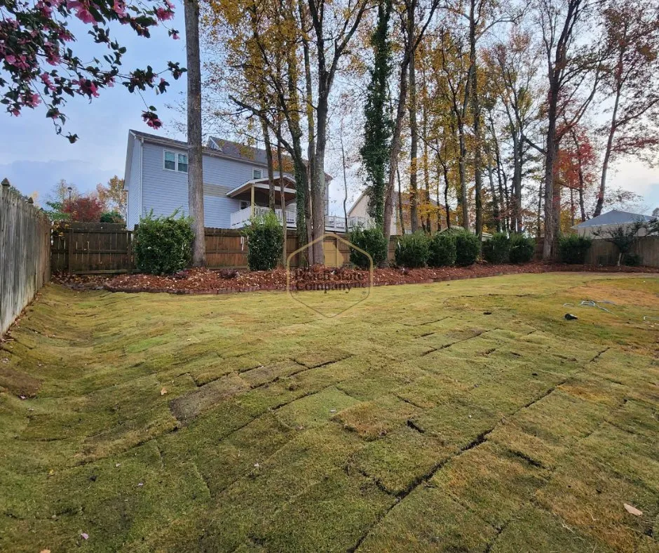 Expert yard cleanup service for beautiful yards in Oxford, GA by The Peach State