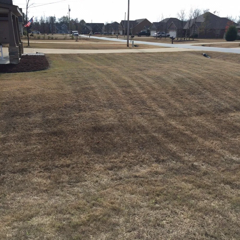 Affordable residential landscaping in Columbus, GA by The Peoples Cut