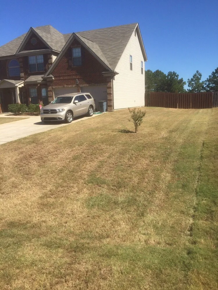 Trusted yard cleanup service in Columbus, GA by The Peoples Cut