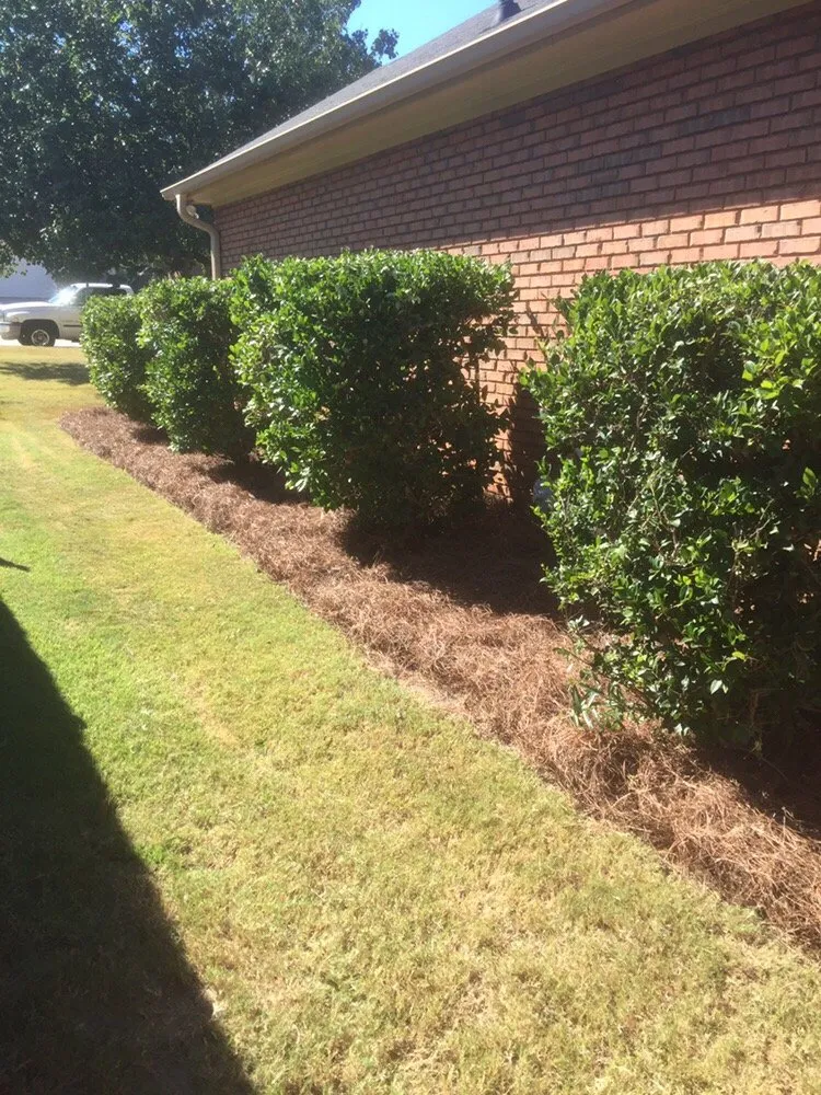 Affordable yard cleanup service for homes across Columbus, GA - The Peoples Cut