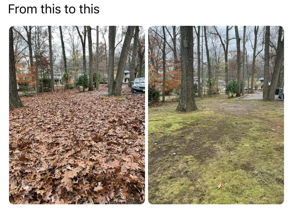 Professional landscape installation in Hazlet, NJ by The People’s Landscaper & Snow Removal