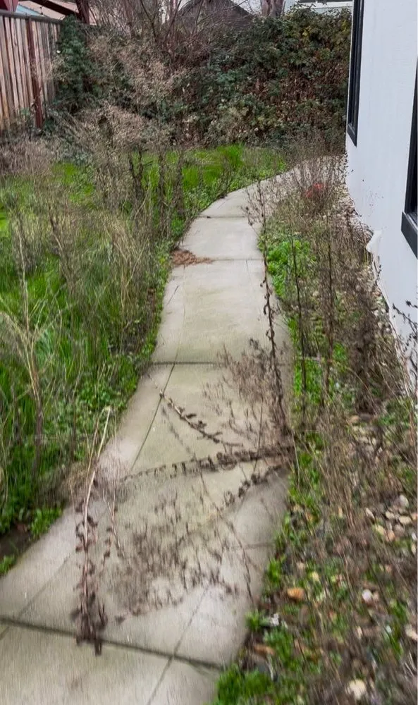 Reliable outdoor landscaping for residential properties across Vacaville, CA - The Perez Landscaping