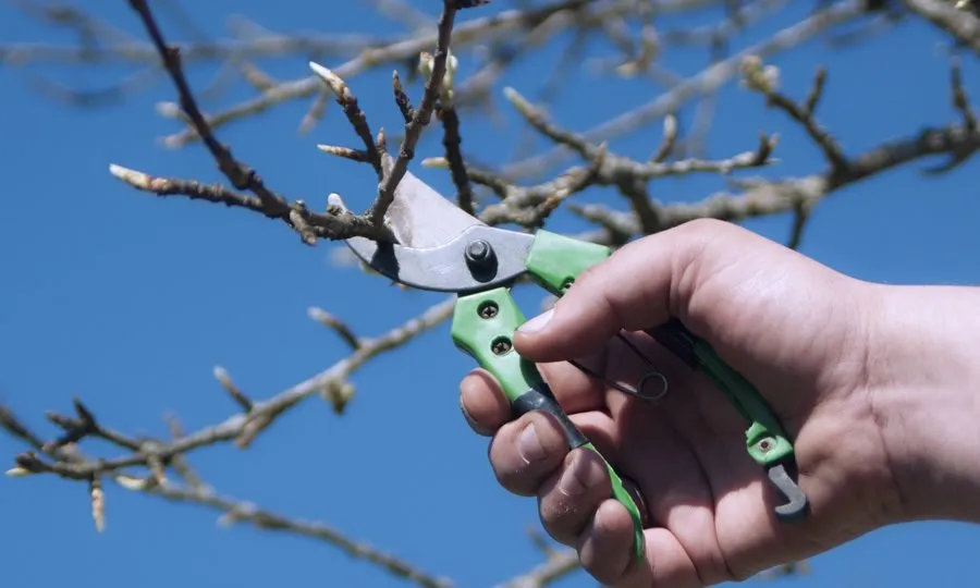 Custom landscaping services near you across Vacaville, CA - The Perez Landscaping