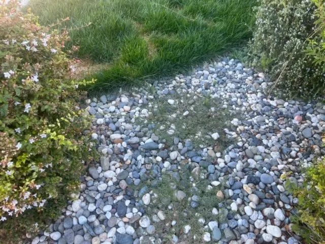 Expert yard cleanup service with custom design in Vacaville, CA by The Perez Landscaping