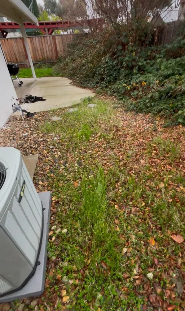 Top-rated landscaping services near you across Vacaville, CA - The Perez Landscaping