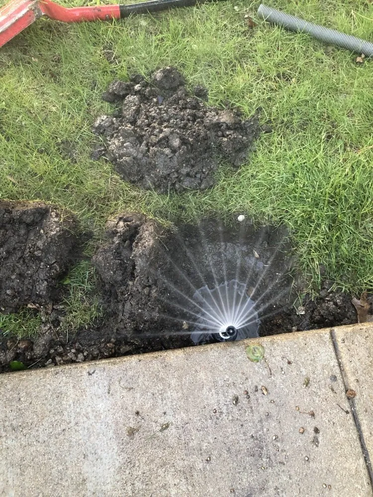 Reliable yard maintenance in Boise, ID by The Perfect Cut Landscape & Maintenance