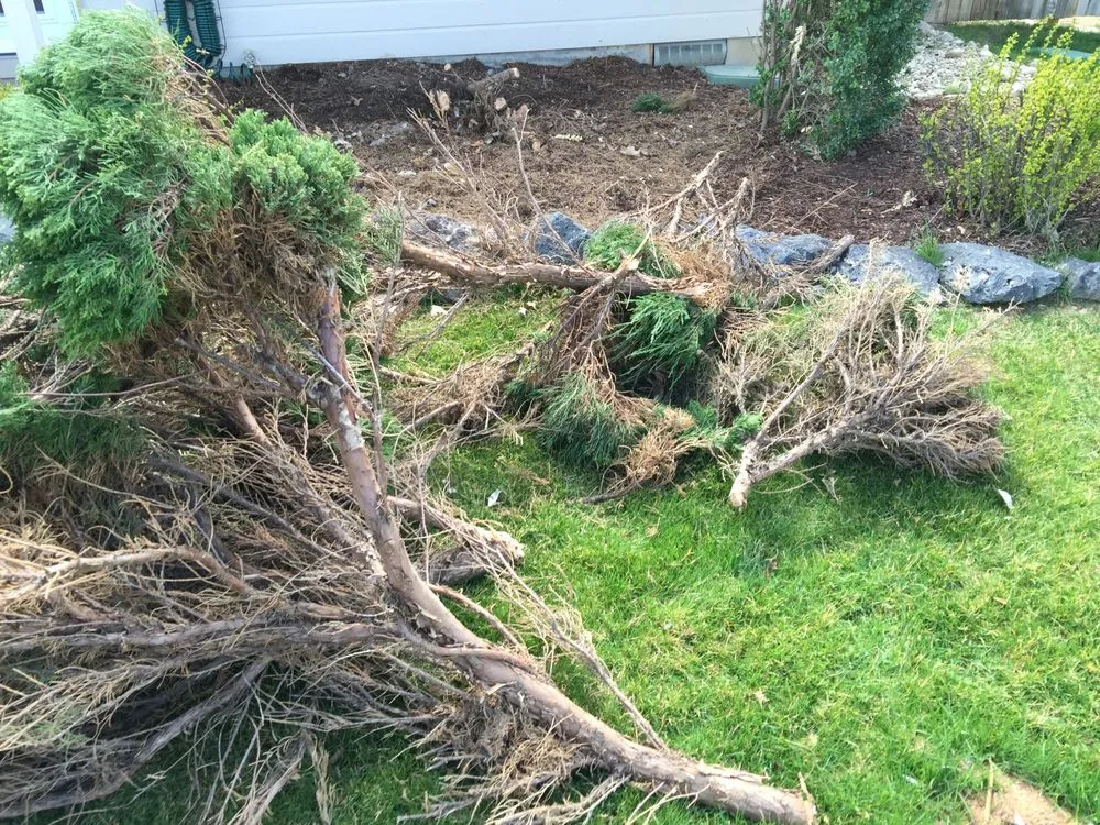 Custom landscape installation for homes across Boise, ID - The Perfect Cut Landscape & Maintenance