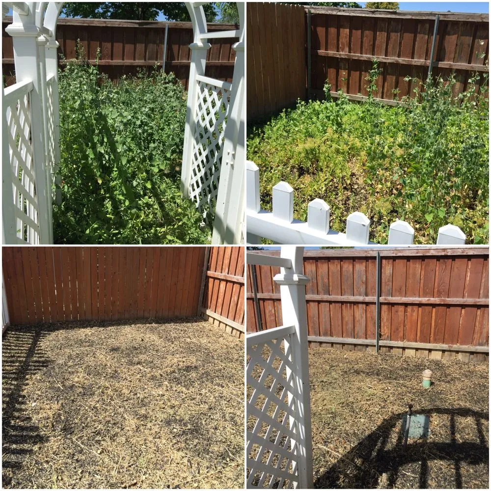 Local residential landscaping for residential properties across Boise, ID - The Perfect Cut Landscape & Maintenance