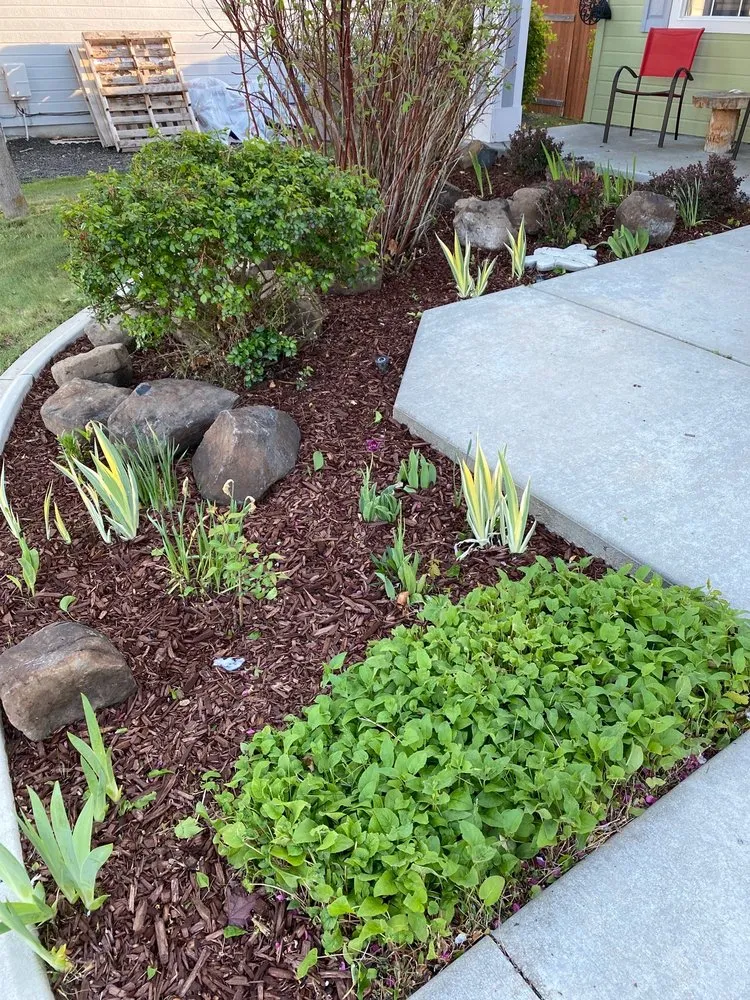 Professional lawn mowing service in Boise, ID - The Perfect Cut Landscape & Maintenance