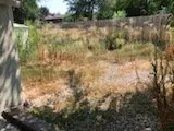 Affordable outdoor landscaping in Boise, ID - The Perfect Cut Landscape & Maintenance