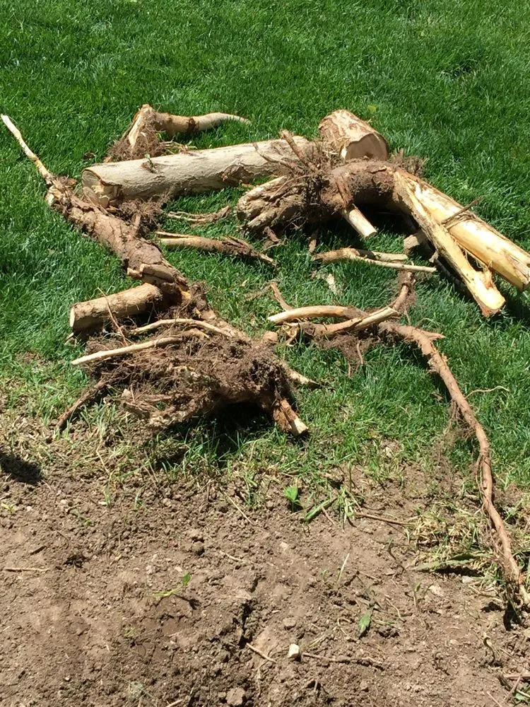 Professional lawn care service for beautiful yards in Boise, ID by The Perfect Cut Landscape & Maintenance