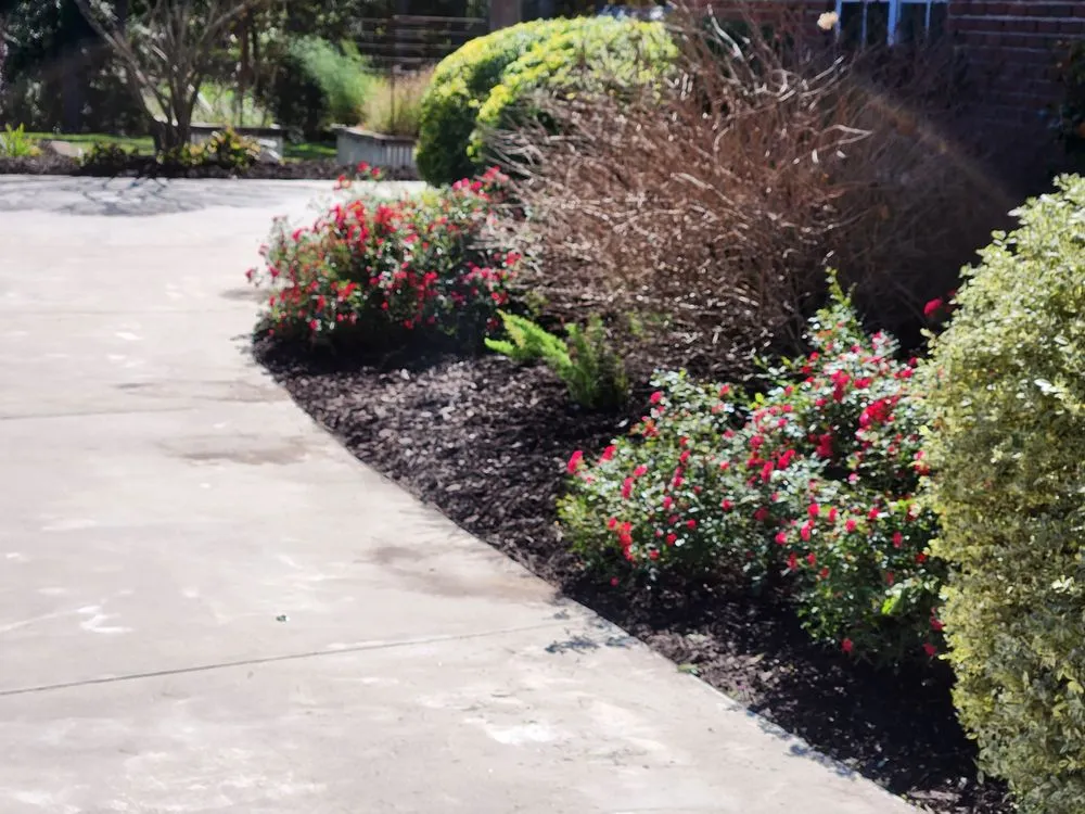 Top-rated landscaping services in West Monroe, LA - The Perfect Cut Lawn