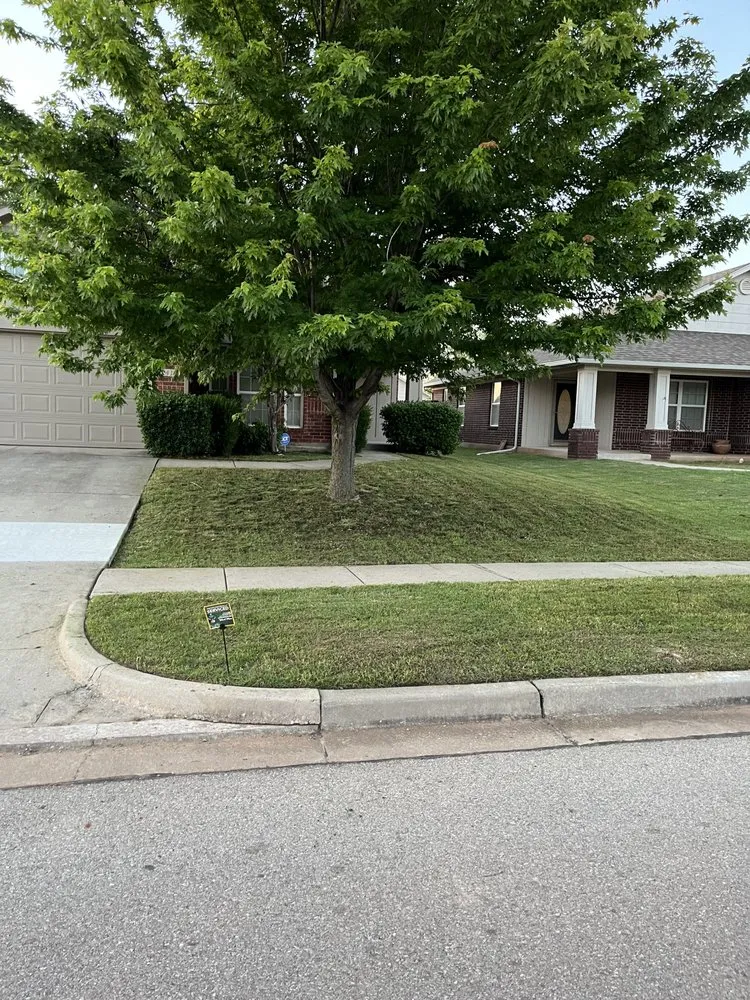 Trusted yard cleanup service in Midwest City, OK - The Perfect Cut