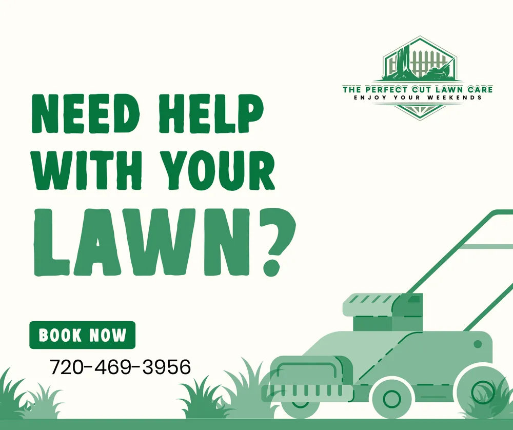 Affordable garden landscaping in Watkins, CO - The Perfect Cuts Lawn Care