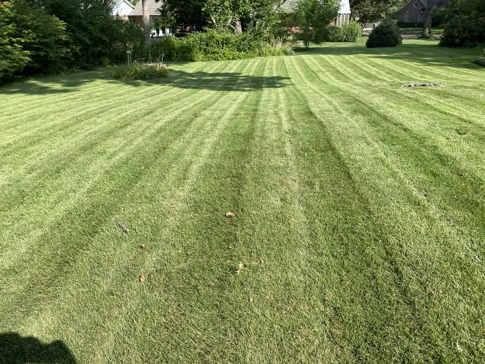 Trusted residential landscaping for outdoor upgrades in Olivette, MO by The Perfect Edge Landscaping