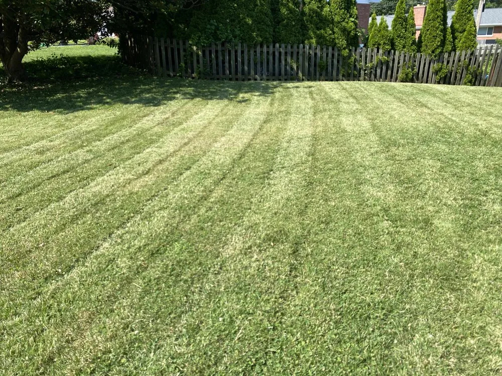 Professional garden landscaping experts serving Olivette, MO - The Perfect Edge Landscaping