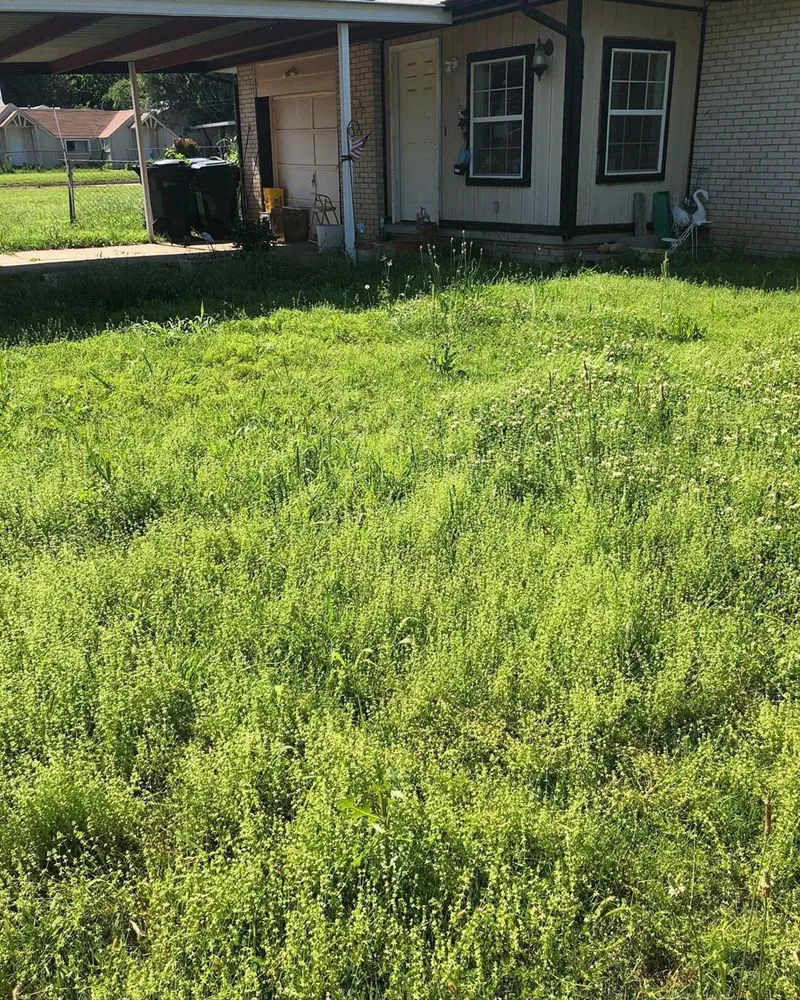 Local yard cleanup service with custom design in Yukon, OK by The Perfect Edge