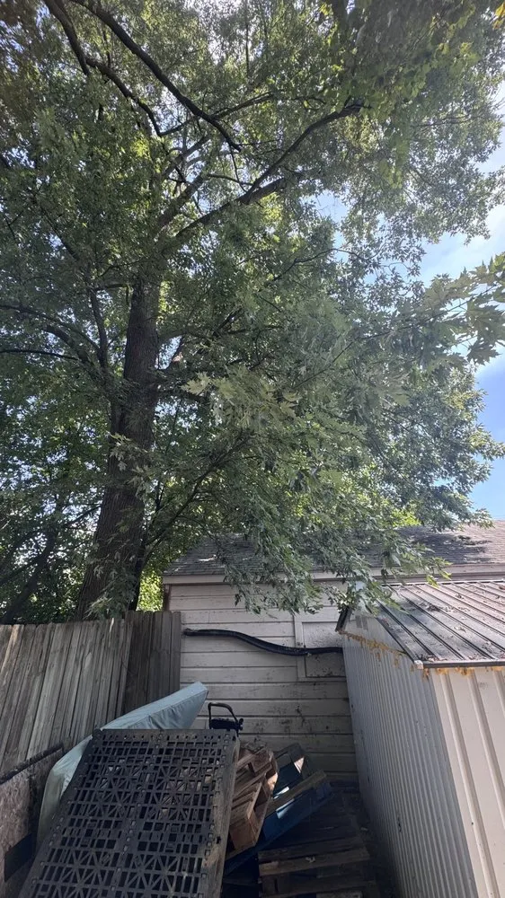 Custom lawn care service in Louisville, KY by The Perfect Garden Landscaping