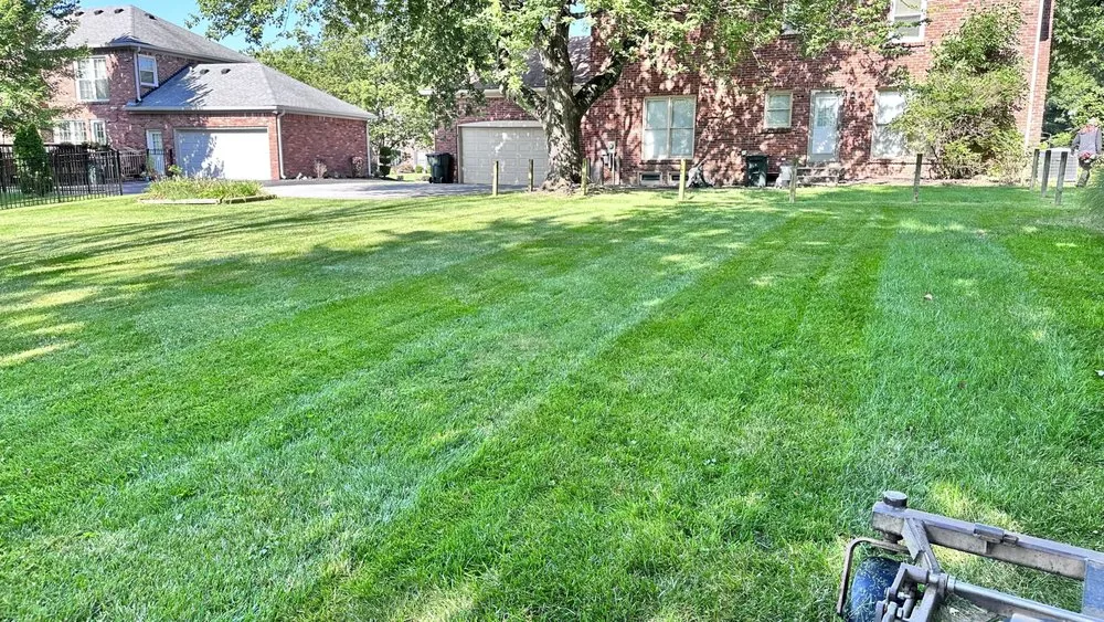 Trusted yard cleanup service in Louisville, KY - The Perfect Garden Landscaping