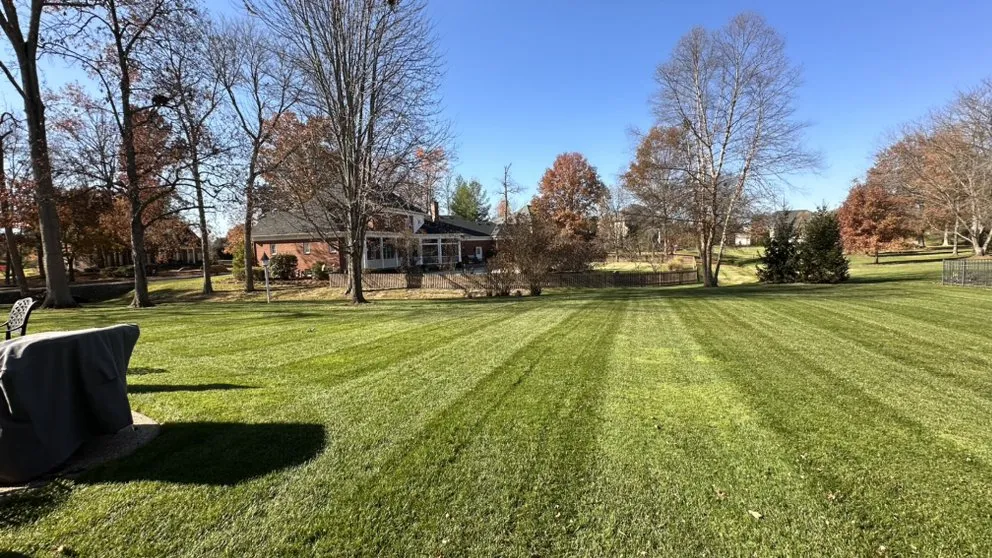 Affordable garden landscaping experts serving Louisville, KY - The Perfect Garden Landscaping