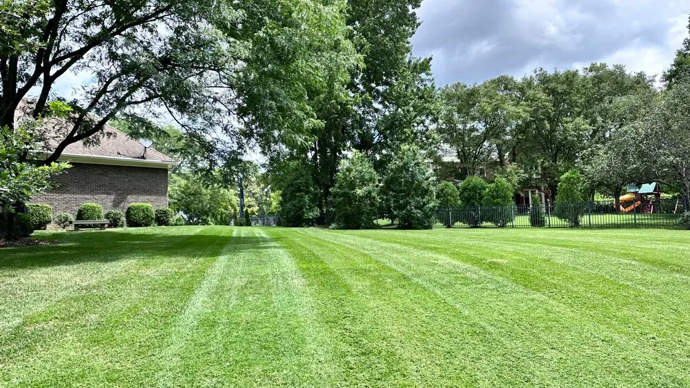 Top-rated residential landscaping for year-round maintenance in Louisville, KY by The Perfect Garden Landscaping