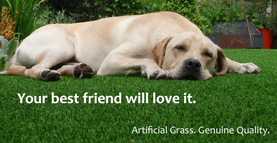 Reliable lawn mowing service for outdoor upgrades in Dallas, TX by The Perfect Lawn