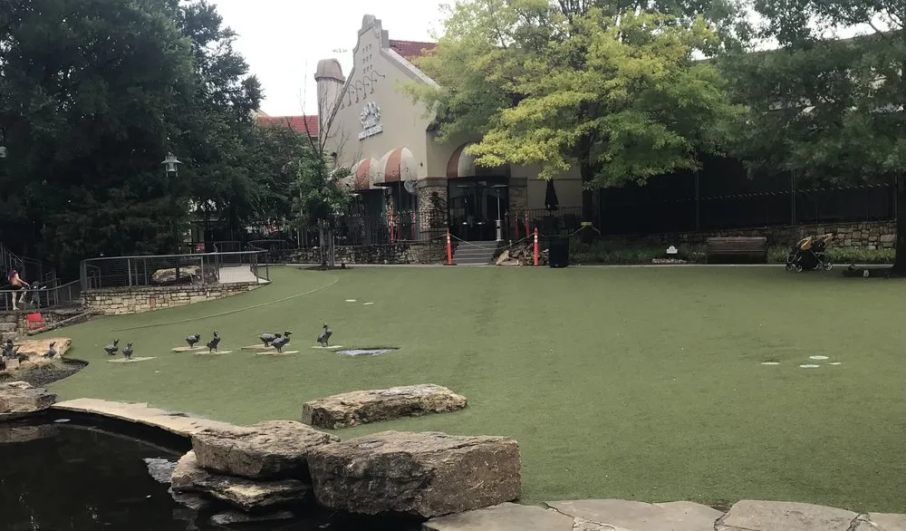 Reliable yard cleanup service experts serving Dallas, TX - The Perfect Lawn