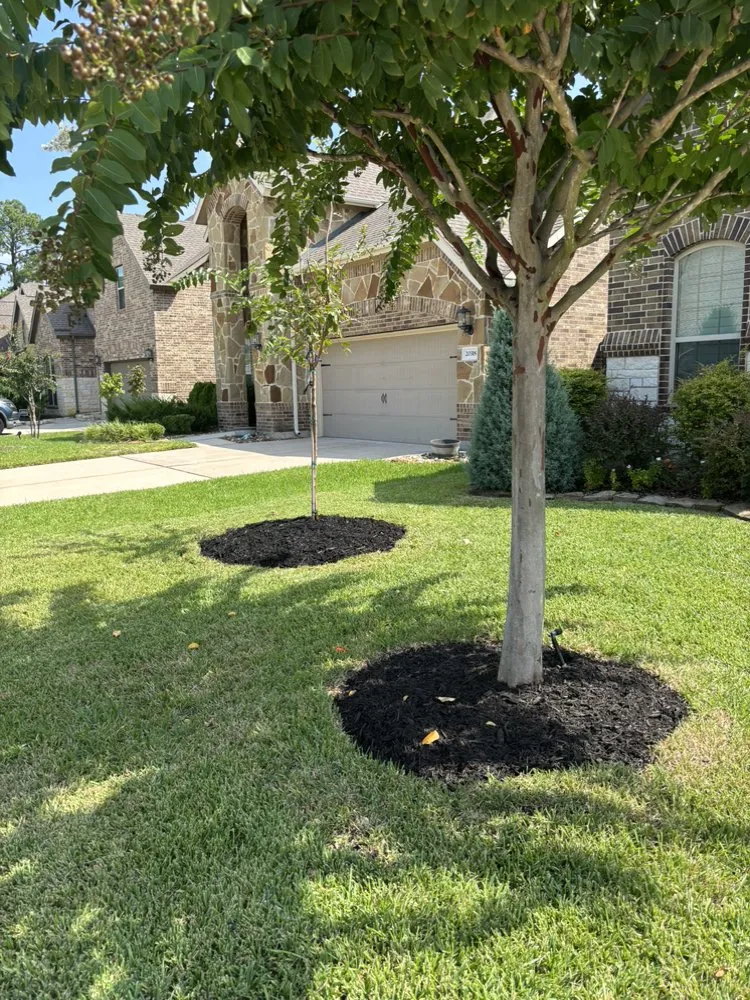 Reliable landscaping services experts serving Spring, TX - The Perfect Lawns