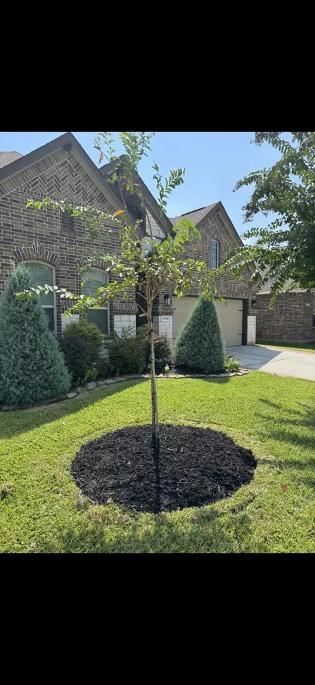 Trusted residential landscaping in Spring, TX - The Perfect Lawns