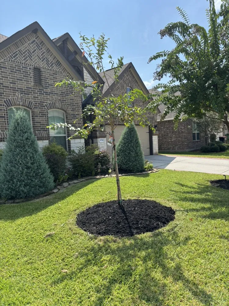 Professional yard cleanup service in Spring, TX by The Perfect Lawns