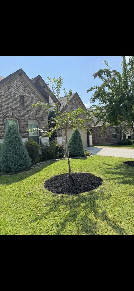 Custom landscape design for outdoor upgrades across Spring, TX - The Perfect Lawns