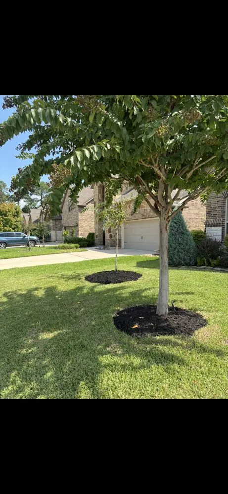 Custom yard maintenance in Spring, TX by The Perfect Lawns