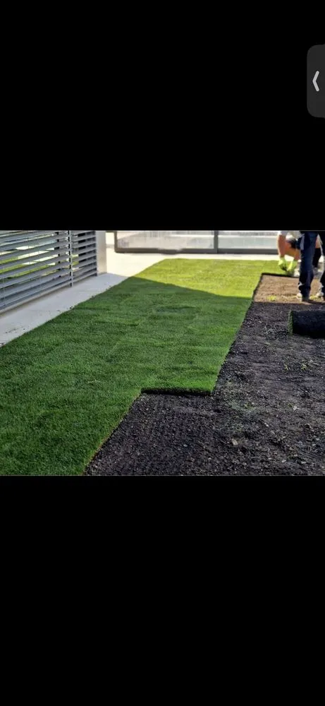 Expert residential landscaping for homes in Spring, TX by The Perfect Lawns