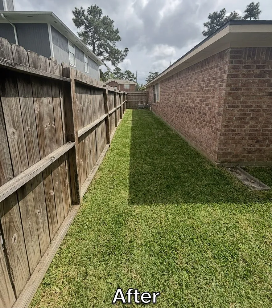 Expert garden landscaping with custom design in Spring, TX by The Perfect Lawns