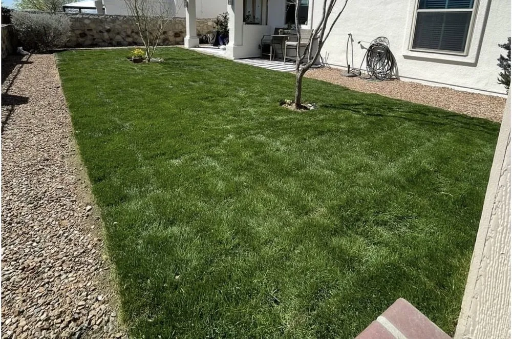 Professional yard maintenance for outdoor upgrades in Spring, TX by The Perfect Lawns